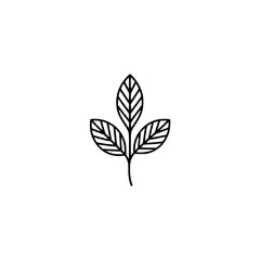 Obraz premium Minimalist Leaf Outline: Vector Illustration on White Background