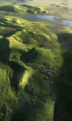 aerial view of the river