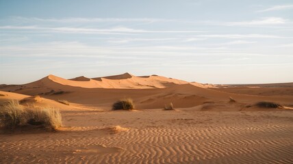 Fototapeta premium Desert Landscape with Sand Dunes