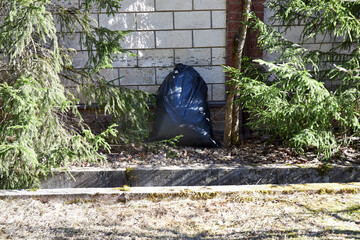 black bags of last year's leaves stand near trees in the park, a concept of spring garden cleanup