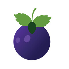 Blackcurrant berry fruit original color