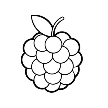 recommend clip art: A realistic Blackberry fruit outline