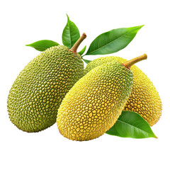 Jack fruits with leaves displayed on a Transparent background highlighting their unique texture and colors, jack fruits with leaf on PNG background