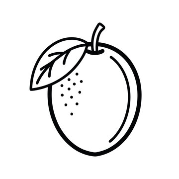 Asam kumbang fruit outline icon