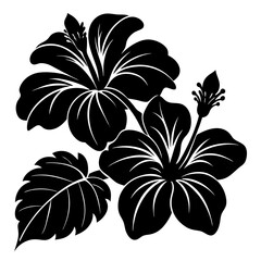 A tropical hibiscus flowers silhouette vector illustration on white background
