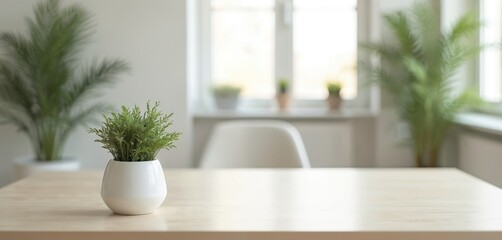 Fototapeta premium Blurred office interior with natural light. Empty table, white chair near window with potted plants. Neutral workspace, clean background for business projects. Modern home interior, minimalist
