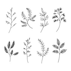 A collection of hand-drawn botanical elements with intricate floral details. Suitable for digital art, fabric prints, greeting cards, and branding.