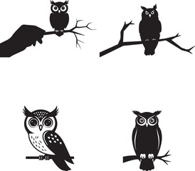 Four Silhouette Owls Perched on Branches