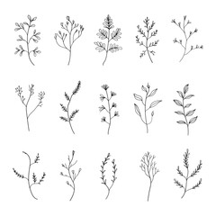 A collection of simple botanical illustrations with minimalistic leaves and floral elements. Ideal for modern logos, branding, packaging, and invitations.