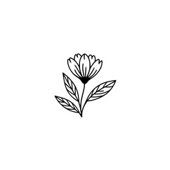 Minimalist Line Art Flower Illustration on Gradient Background