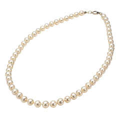 Classic pearl necklace isolated on a white background.