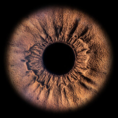 woman eye iris