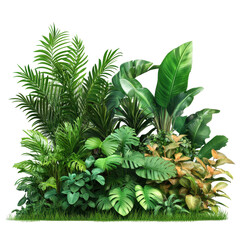 Fototapeta premium Vibrant collection of garden plants arranged harmoniously on a Transparent background for indoor decoration, Isolated image garden plants grouped together on PNG background