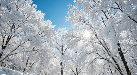 Winter landscape with snowy trees under a clear blue sky  