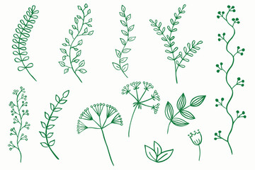 Doodles leaves and flowers set, hand drawn, vector, isolated. Freehand brunches, vintage elements for design, borders for greeting cards.