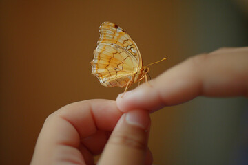 A butterfly landing on a child&rsquo;s fingertip, soft focus, large negative space.