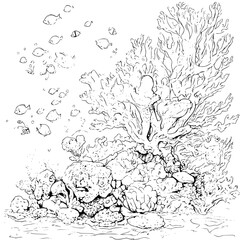Coral reef coloring book vector art, Coral reef vector illustration