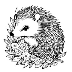 Hedgehog coloring book vector design, Hedgehog illustration art