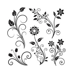 black ornament illustration curves simple for photo on white background