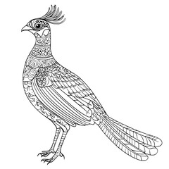 Obraz premium Pheasant coloring book vector design, Pheasant illustration art