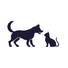 black cat on white background