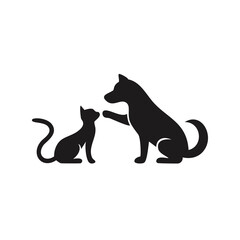 black cat on white background