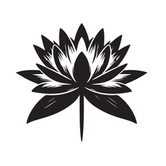 Vector lotus blossom art, a floral nature illustration