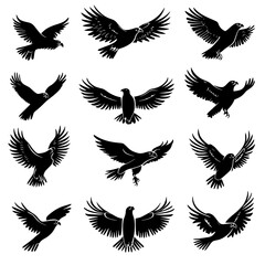 Obraz premium Collection of Eagles vector designs, Eagles vector image