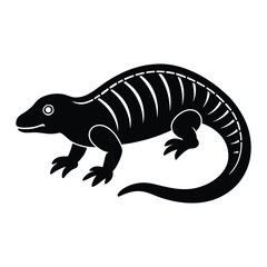 lizard on white background