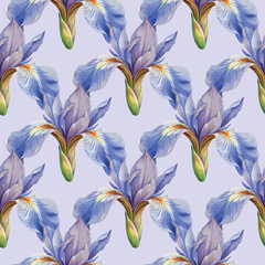 Purplr lilac watercolor iris vector botanical floral seamless pattern