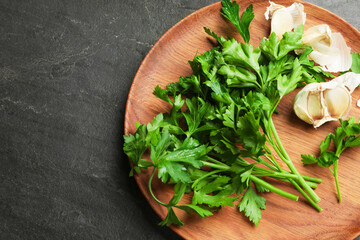 Fresh parsley and garlic on black table, top view. Space for text