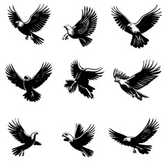 Fototapeta premium Collection of Eagles vector designs, Eagles vector illustration