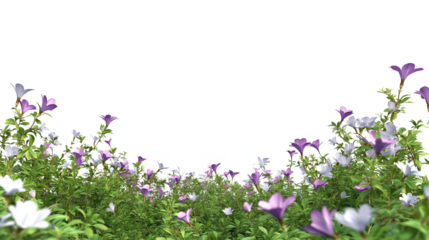 Flowers bushes full ornamental foreground isolate on transparent backgrounds	