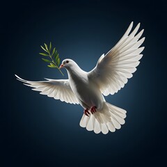 Obraz premium White Dove in Flight Carrying Olive Branch on Dark Background