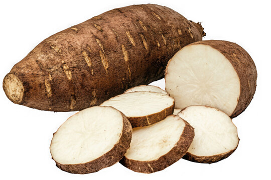 A whole yuca root and its creamy white slices, ready for a delicious meal, showcasing its earthy brown skin and firm texture against on Transparent Background.