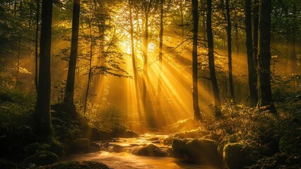 Obraz premium Mystical Light Rays Over a Flowing Forest Stream