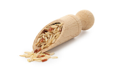 Different sorts of raw brown rice in scoop isolated on white