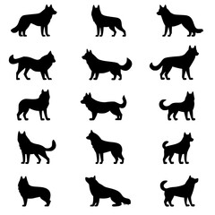 Fototapeta premium Collection of Dingoes vector designs, Dingoes illustration art