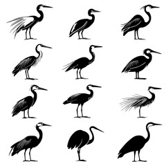 Fototapeta premium Collection of Herons vector designs, Herons illustration art