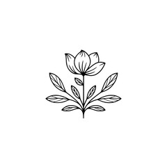 Minimalist Floral Line Art: Magnolia Bloom on White, Botanical Design
