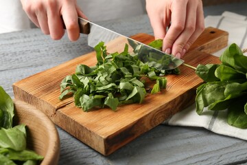 Woman cutting fresh sorrel leaves at grey wooden table, closeup