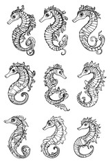 Obraz premium Collection of Seahorses coloring book vector designs, Seahorses illustration art