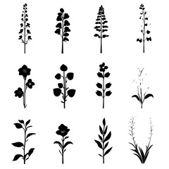 Fototapeta premium Collection of Snapdragons vector designs, Snapdragons illustration art