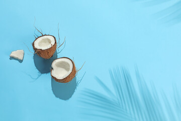 Fresh coconut and shadow cast by tropical palm on light blue background, top view. Space for text
