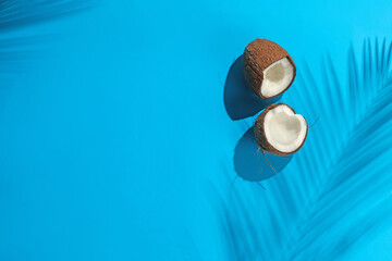 Fresh coconut and shadow cast by tropical palm on light blue background, top view. Space for text
