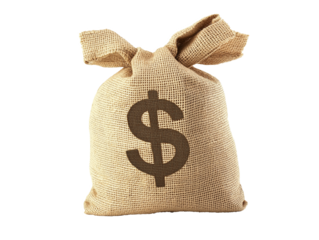 Burlap money bag with dollar sign in neutral setting highlights currency representation