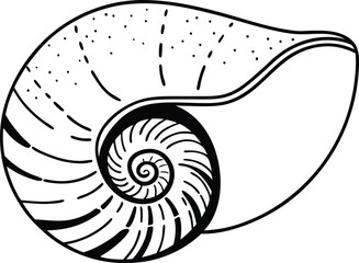 Detailed Black and White Nautilus Shell Illustration