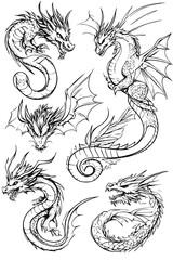 Obraz premium Collection of Dragons coloring book vector designs, Dragons vector graphic