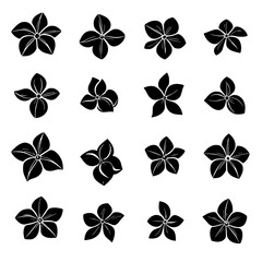 Collection of Gardenias vector designs, Gardenias vector graphic