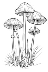 Collection of Toadstools coloring book vector designs, Toadstools vector graphic